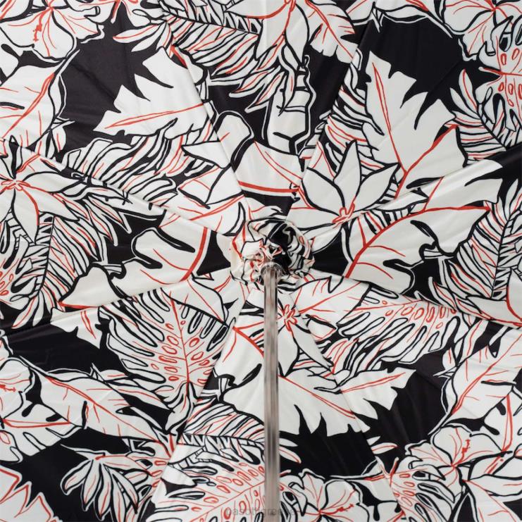 ομπρέλα | PASOTTI 189n z0327-1 p49 - ομπρέλα foglie bianche 2N6B8435 γυναίκες